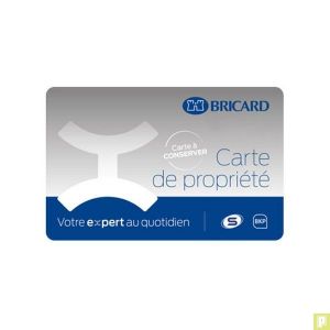 https://pluriel.fr/2442-4434-thickbox/cle-bricard-chifral-avec-mobile-sur-n.jpg